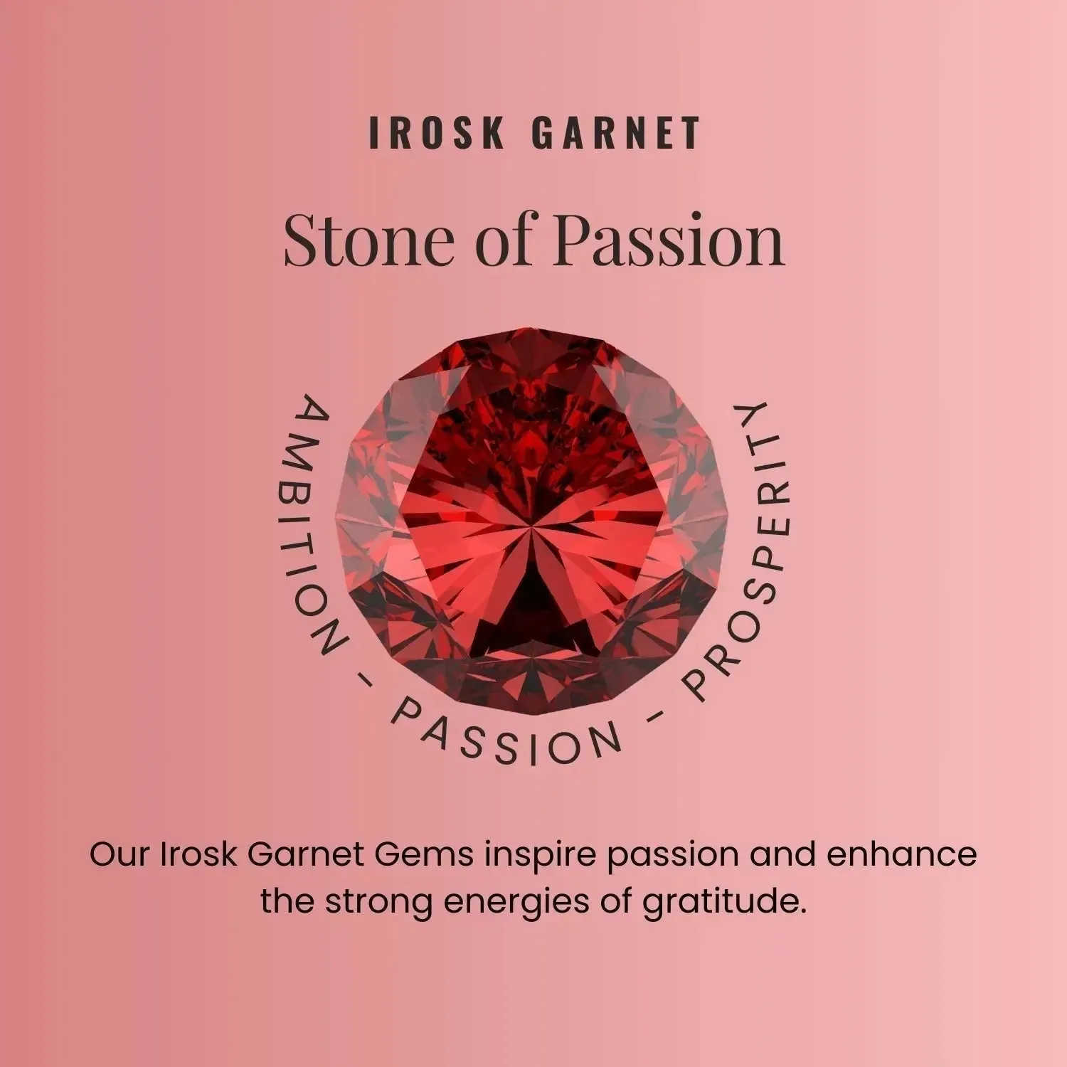 Garnet Climber Earrings in 825 Silver - Irosk ®
