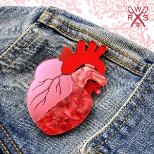 Pulse Perfect Anatomical Heart Brooch in Red and Pink